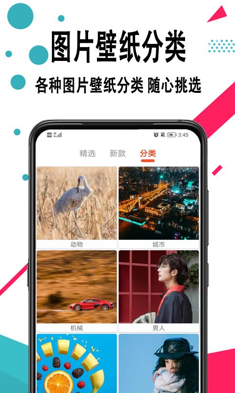 好看手机壁纸下载介绍图