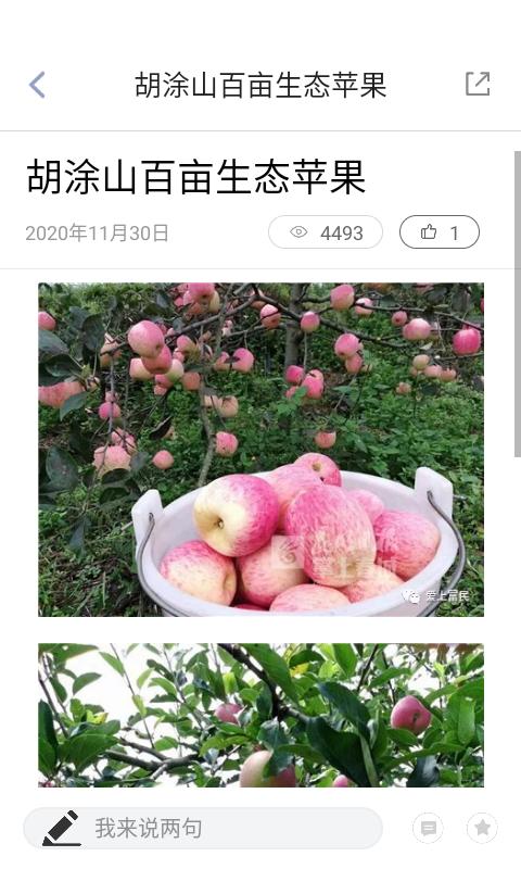 富民融媒下载介绍图