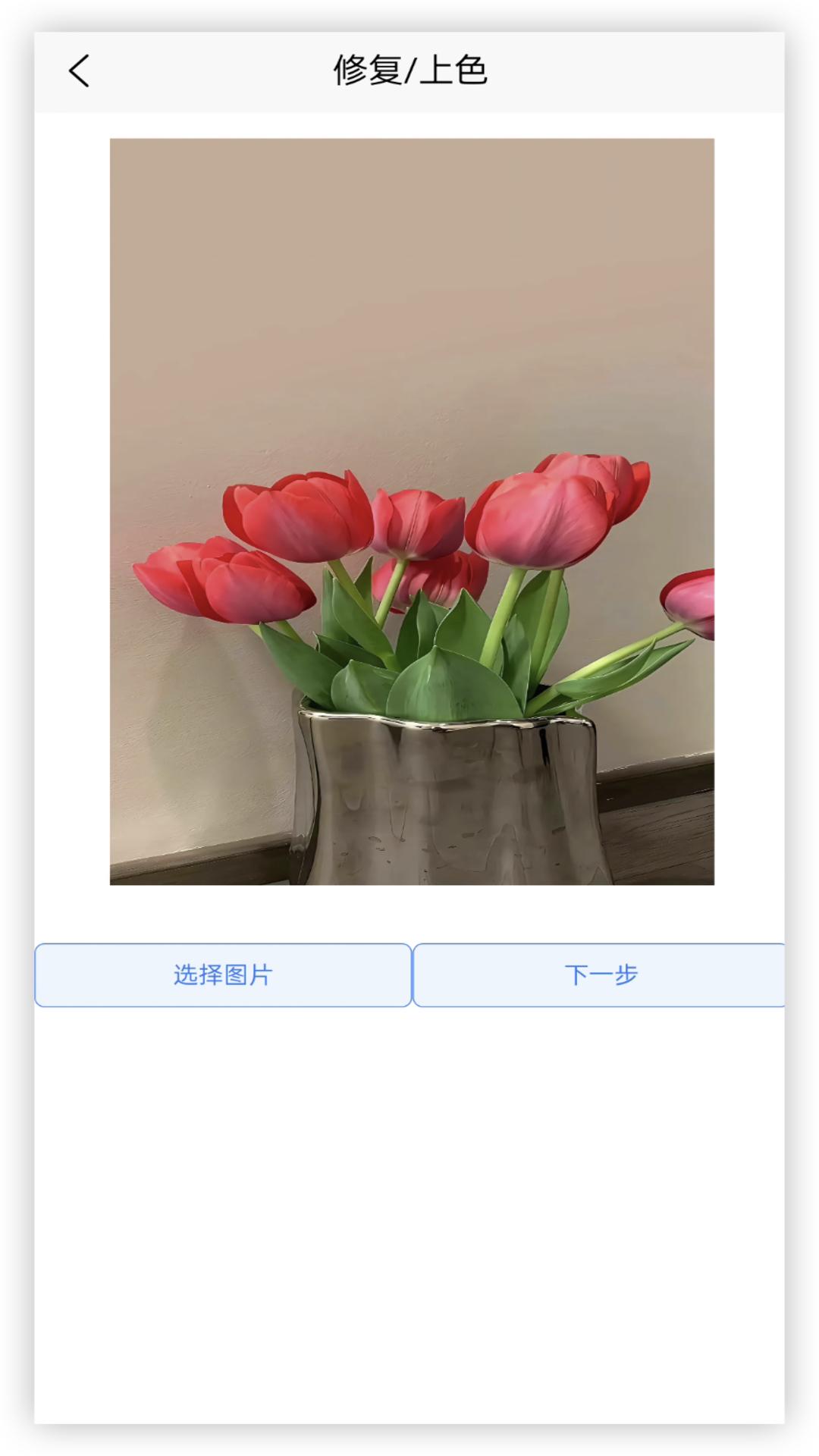 年龄相机下载介绍图