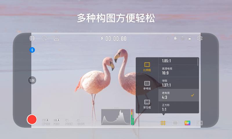 StaCam下载介绍图