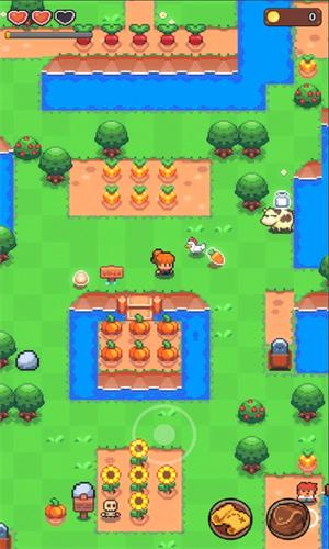 夏日时光探索小岛 v6.5.2