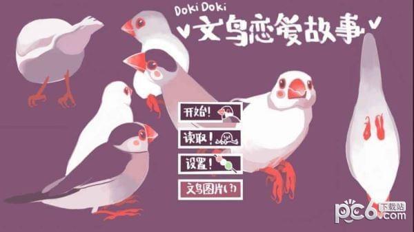 咕啾文鸟恋爱物语中文版