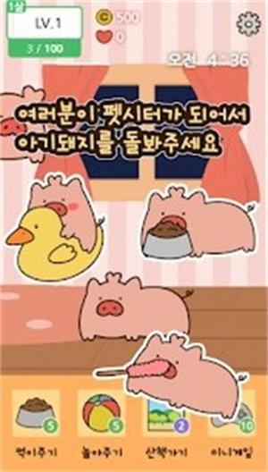 口袋宠物猪免广告版 v6.5.2