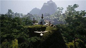 Flight