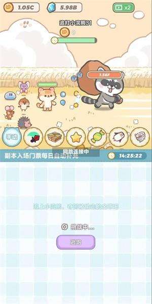 代号猫猫