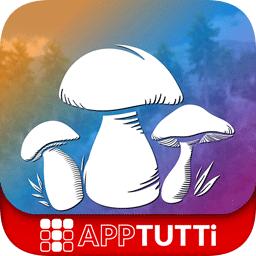 真实采集蘑菇模拟器官方版