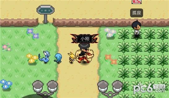 PokePlus