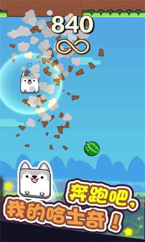 奔跑吧熊君 v3.3.2