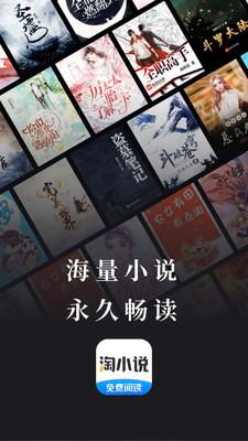 淘小说阅读器