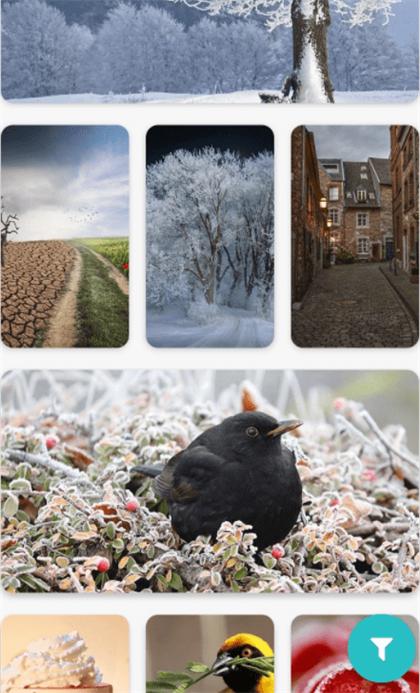 华为荣耀主题 v3.4.4