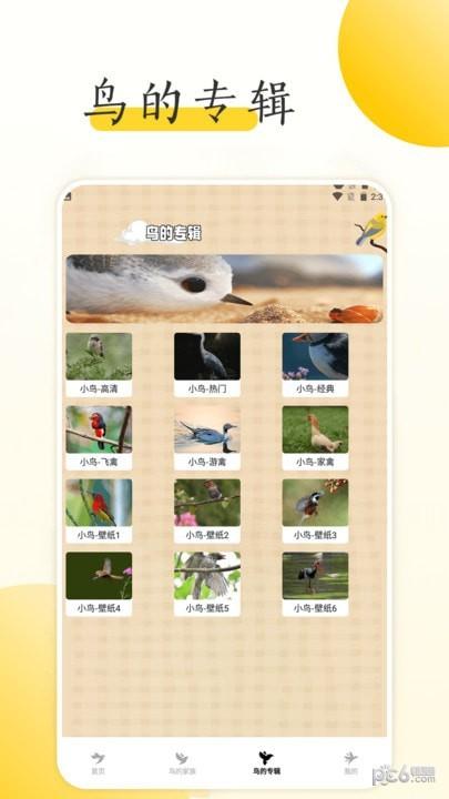 小鸟壁纸大全 v3.5.3
