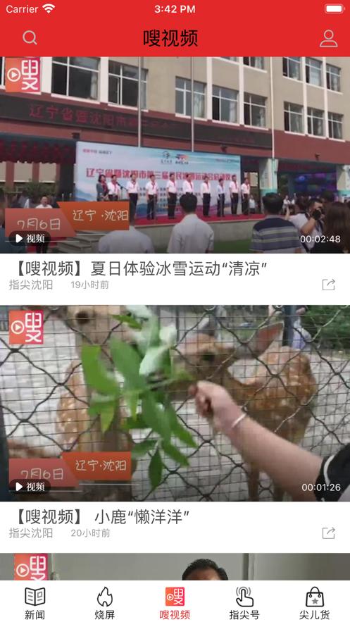 指尖沈阳