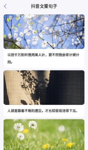 句子文案控