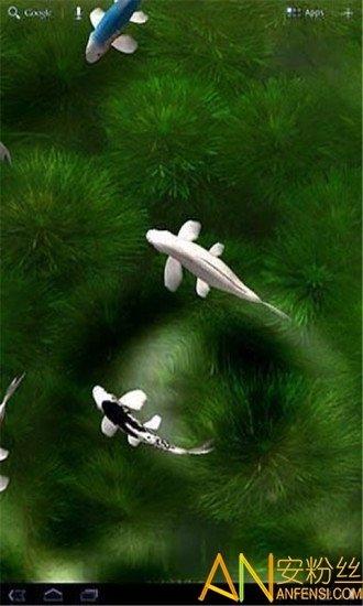 自由锦鲤动态壁纸 v3.5.2