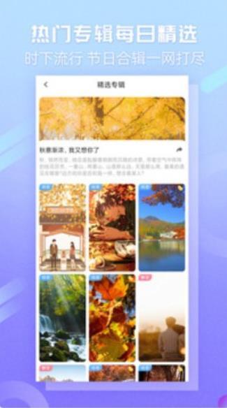 嘀嗒壁纸 v5.1.2