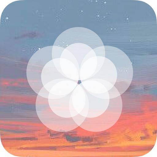 枫知手机主题壁纸