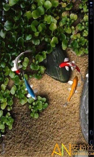 自由锦鲤动态壁纸 v3.5.2