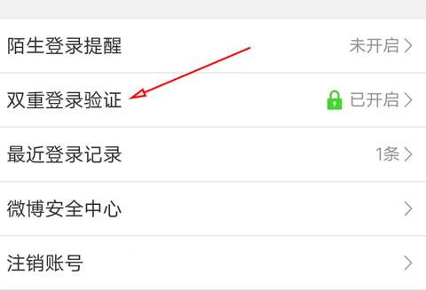 Google验证器