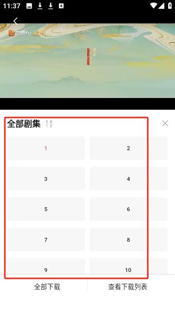 草莓熊影视