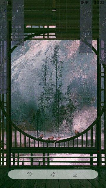 多态兔兔