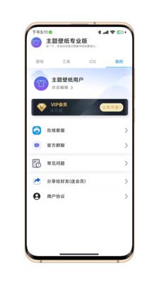 主题壁纸专业版答案
