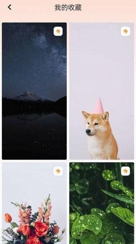 天天换壁纸 v5.0.1