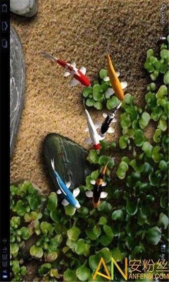 自由锦鲤动态壁纸 v3.5.2