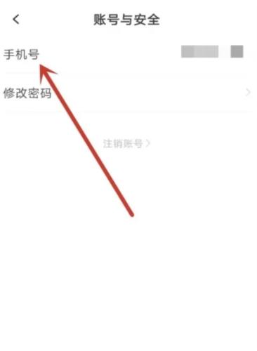 长江日报