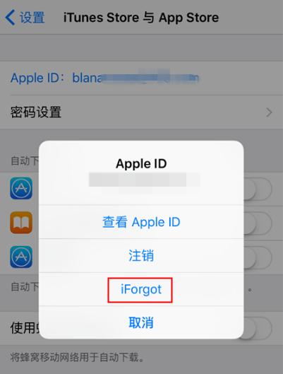 苹果应用商店