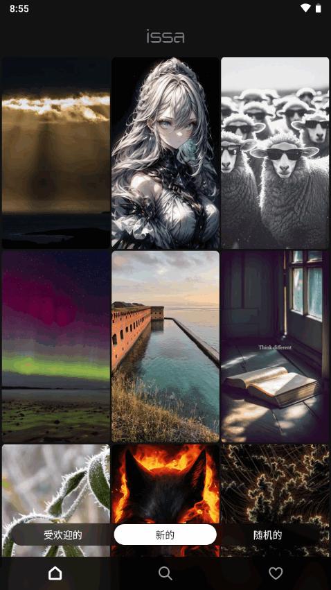 issa壁纸软件 v5.5.1