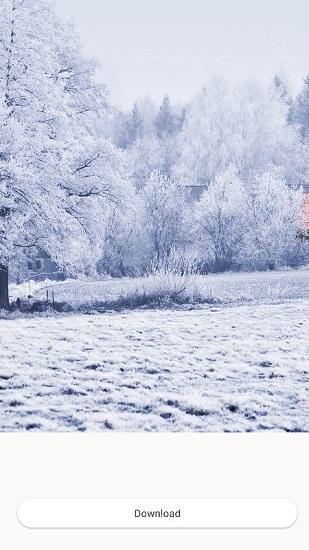 芒果壁纸小清新 v3.3.2