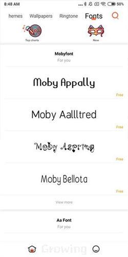 小米主题商店国际服 v5.3.1