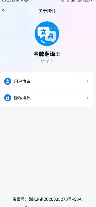 金牌翻译王