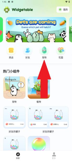 Widgetable宠物 v4.2.4