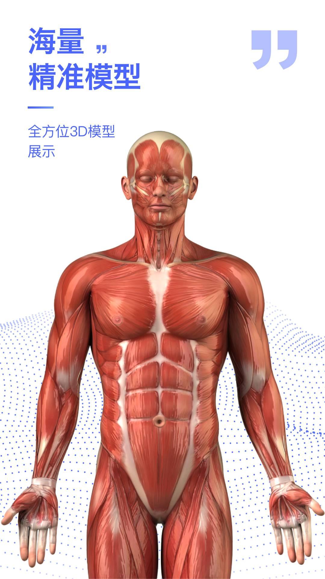 解剖学图谱
