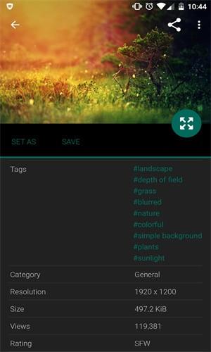 wallhaven隐藏模式 v3.1.4