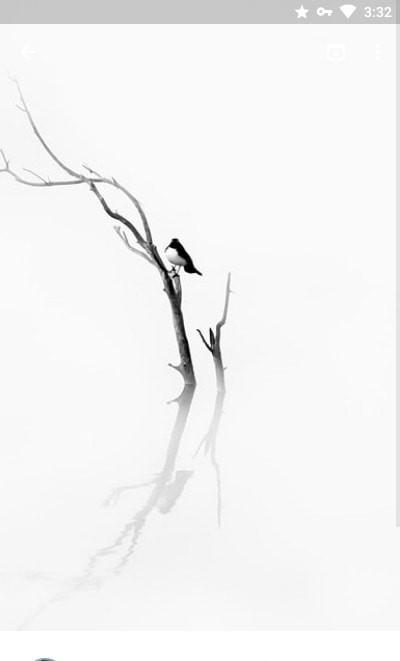 Walldrobe壁纸 v5.0.4