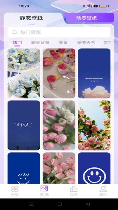 元汽动态壁纸 v4.3.4