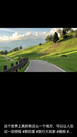 中国制霸地图 v5.3.1