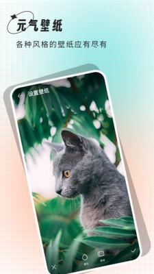 清壁纸 v6.2.4