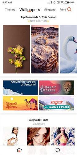 小米主题商店国际服 v5.3.1