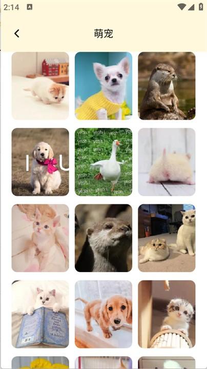 手机图库美化工具 v3.1.3