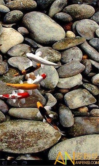 自由锦鲤动态壁纸 v3.5.2