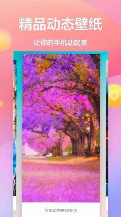动态壁纸4k免费 v3.1.1