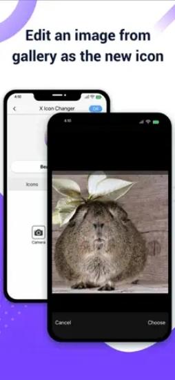 xiconchanger无广告 v5.0.3