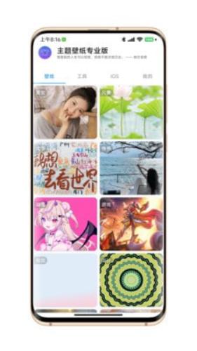 主题壁纸专业版免费 v4.3.4