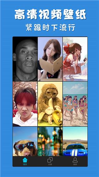 彩蛋视频壁纸安卓版 v4.5.4