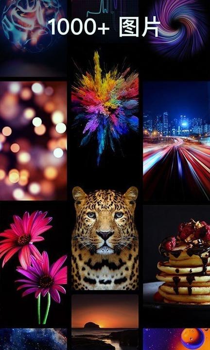 灵猫壁纸大全 v4.2.3