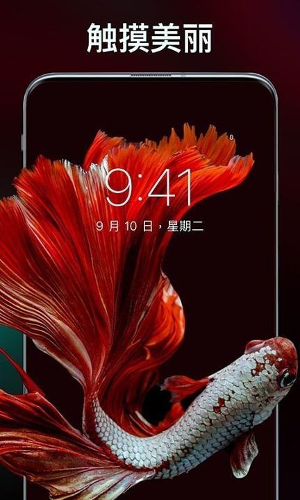 灵猫壁纸大全 v4.2.3