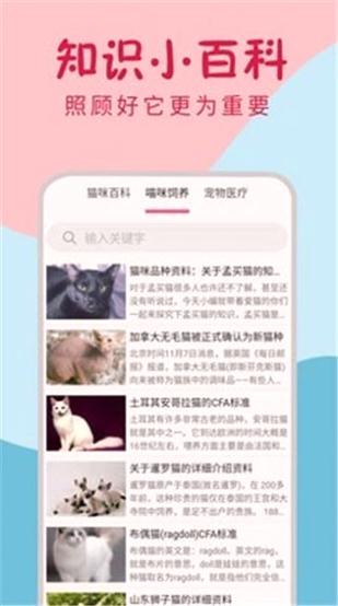 小猫翻译器 v4.2.1